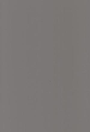 FENIX - GRIGIO LONDON